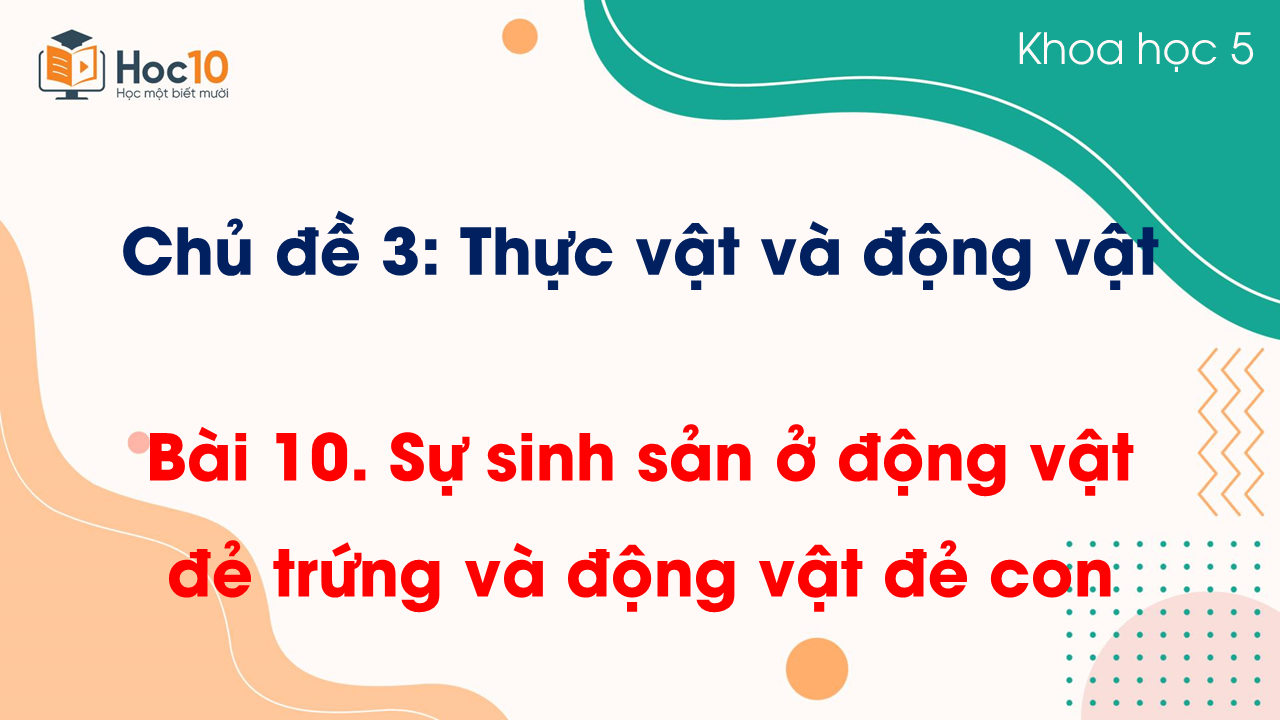 Bài 10 Sự sinh sản ở động vật đẻ trứng và động vật đẻ con
